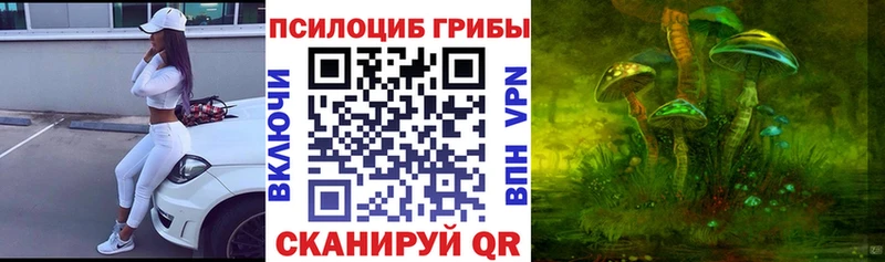 наркошоп  Черемхово  Галлюциногенные грибы Psilocybine cubensis 
