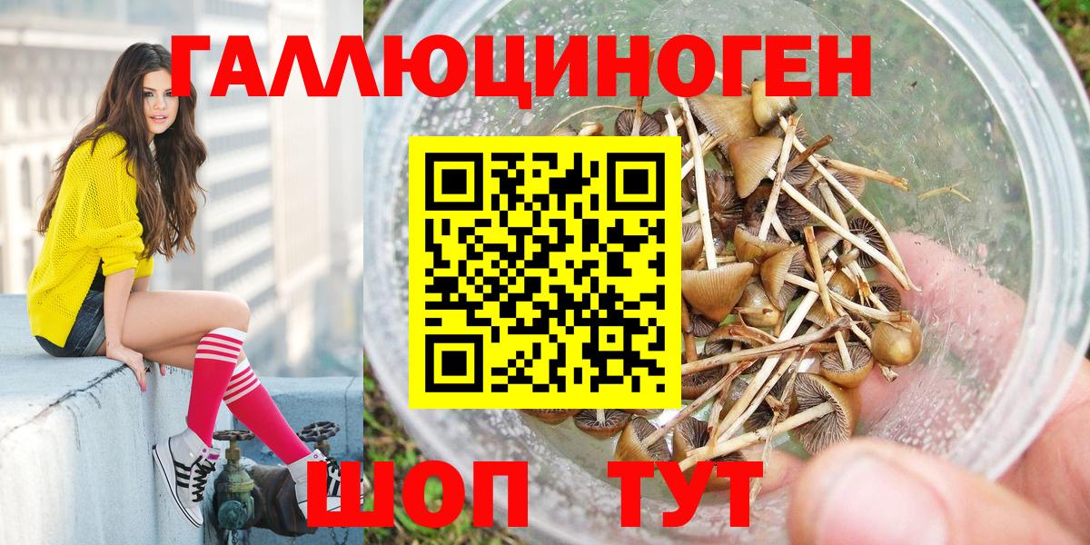 Галлюциногенные грибы MAGIC MUSHROOMS  Вход с VPN  купить  цена  Черемхово  Галлюциногенные грибы мухоморы 