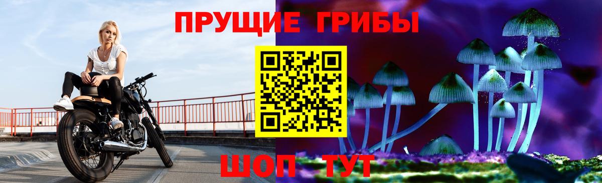 Псилоцибиновые грибы прущие грибы Черемхово